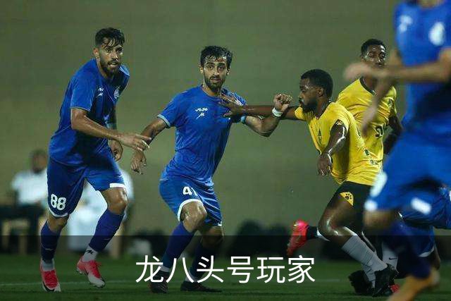 龙八头号玩家公司介绍